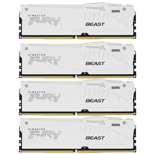 Купить Оперативная память Kingston FURY Beast White RGB [KF556C40BWAK4-64] 64 ГБ  5436451. Характеристики, отзывы и цены в Донецке