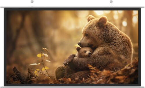 Купить 150" Экран для проектора HIPER CINEMA SWT 16X9-150  5476511. Характеристики, отзывы и цены в Донецке