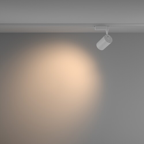 Купить Светильник трековый Maytoni TR003-1-26W3K-W-W  9169491. Характеристики, отзывы и цены в Донецке