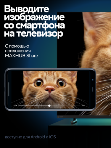 Купить 32" (80 см) Телевизор Sber SDX-32H3113 черный  9252272. Характеристики, отзывы и цены в Донецке