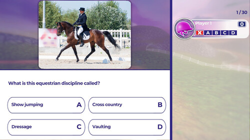 Купить Игра Equestrian Training (Steam)  5621875. Характеристики, отзывы и цены в Донецке
