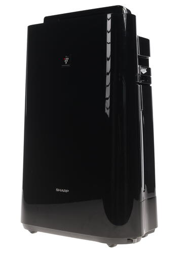 Купить Климатический комплекс Sharp KC-D41RB черный  1012537. Характеристики, отзывы и цены в Донецке