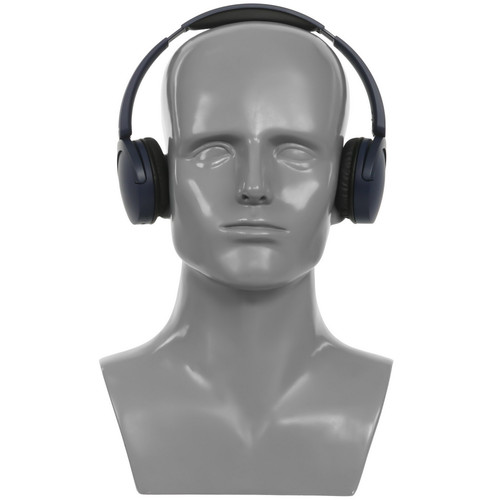 Купить Беспроводные наушники Panasonic RB-HF630BG-A  синий 2024  9236335. Характеристики, отзывы и цены в Донецке