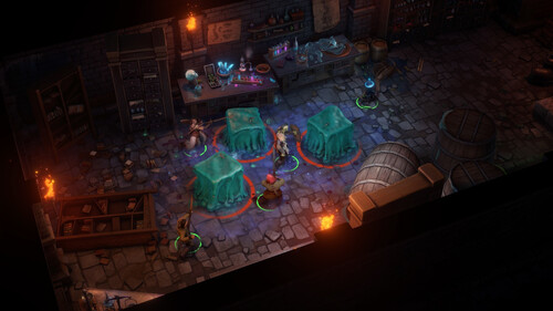 Купить Дополнение для игры Pathfinder: Wrath of the Righteous - Through the Ashes (Steam)  5601505. Характеристики, отзывы и цены в Донецке