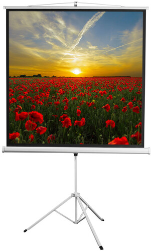 Купить 96" Экран для проектора Digis Kontur-D DSKD-1104  1626395. Характеристики, отзывы и цены в Донецке