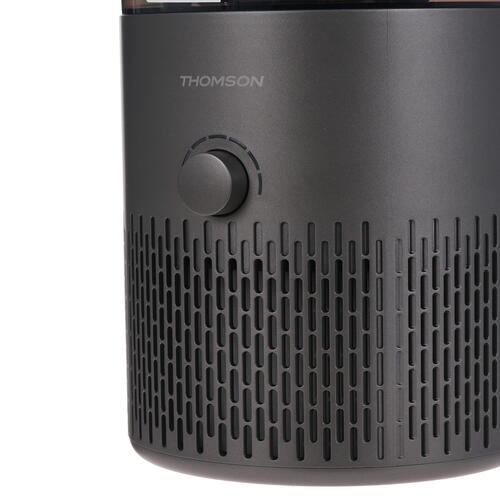 Купить Климатический комплекс Thomson PH30M01 черный  9962869. Характеристики, отзывы и цены в Донецке