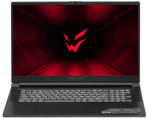 Купить 17.3" Ноутбук ARDOR Gaming EVO E17-I7ND402 черный  9083821. Характеристики, отзывы и цены в Донецке
