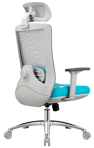 Купить Кресло офисное Evolution ERGO PRIME голубой  9071475. Характеристики, отзывы и цены в Донецке