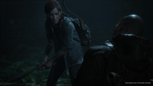 Купить Игра The Last of Us: Part II (PS4)  1399285. Характеристики, отзывы и цены в Донецке