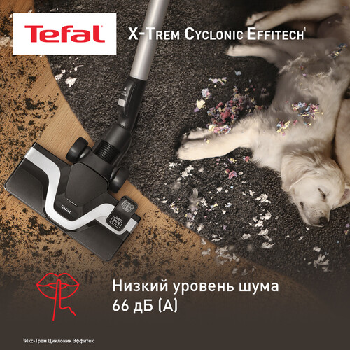 Купить Пылесос Tefal X-Trem Cyclonic Effitech TW7C71EA черный  9267009. Характеристики, отзывы и цены в Донецке