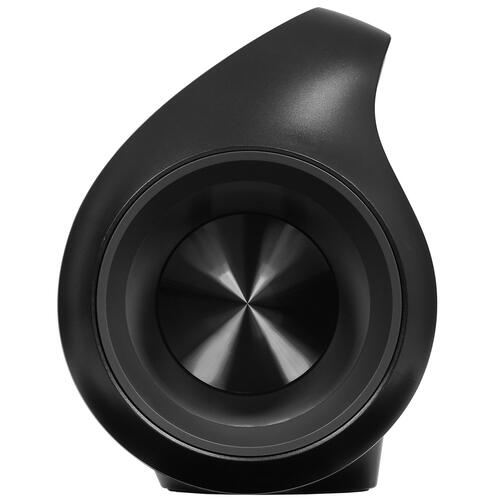 Купить Портативная колонка Aceline P550, черный  5401565. Характеристики, отзывы и цены в Донецке