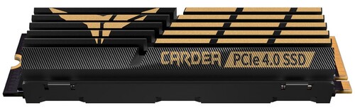 Купить 4000 ГБ M.2 NVMe накопитель TEAMGROUP T-FORCE CARDEA A440 [TM8FPZ004T0C327]  5457039. Характеристики, отзывы и цены в Донецке