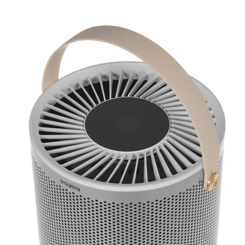 Купить Очиститель воздуха Smartmi Air Purifier P2 ZMKQJHQP21 серебристый  5096640. Характеристики, отзывы и цены в Донецке