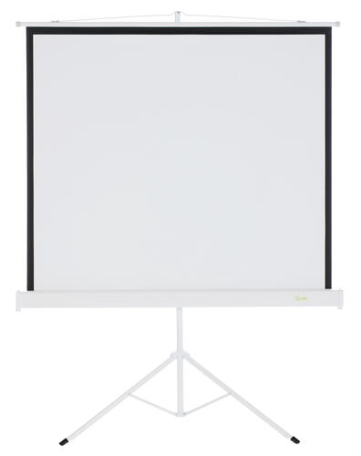 Купить 73" Экран для проектора Cactus TriScreen CS-PST-127X127  7982471. Характеристики, отзывы и цены в Донецке