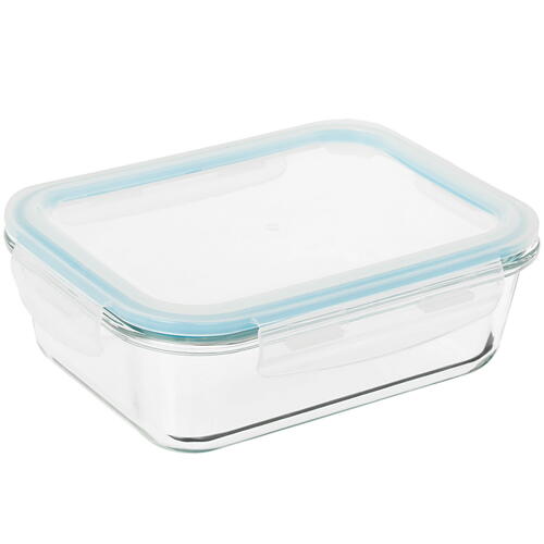 Купить Контейнер пищевой Aceline P1040  4747299. Характеристики, отзывы и цены в Донецке