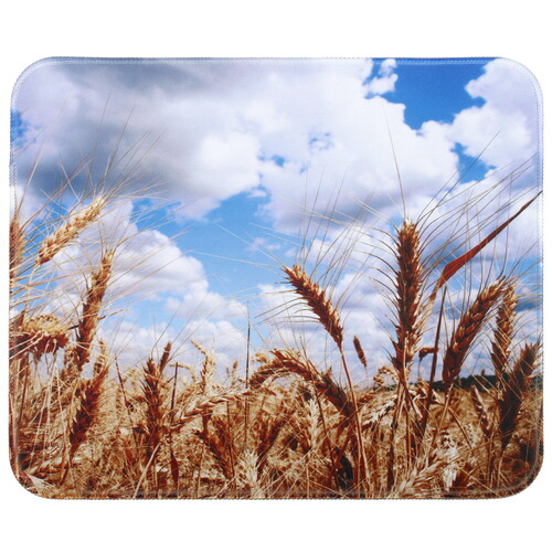 Купить Коврик Aceline Nature 02 (S) разноцветный  5454451. Характеристики, отзывы и цены в Донецке