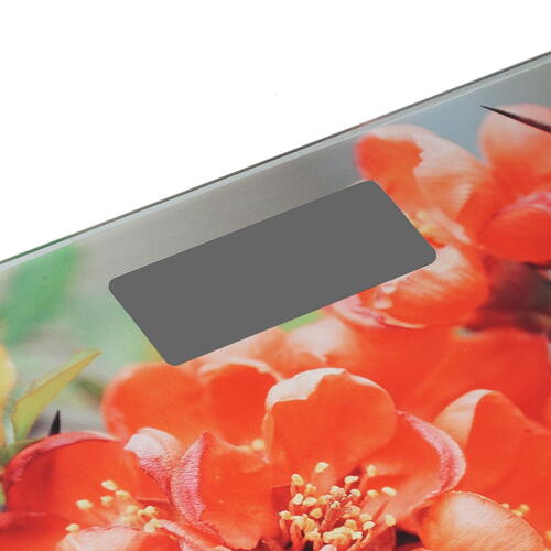 Купить Весы Marta MT-1678 разноцветный  8166516. Характеристики, отзывы и цены в Донецке