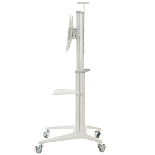 Купить Стойка с кронштейном Digis DSM-P764C  4838145. Характеристики, отзывы и цены в Донецке