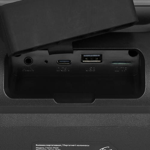 Купить Портативная колонка Fiero Eyes P520, черный  5401360. Характеристики, отзывы и цены в Донецке