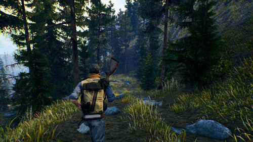 Купить Игра Open Country (Steam)  5622374. Характеристики, отзывы и цены в Донецке