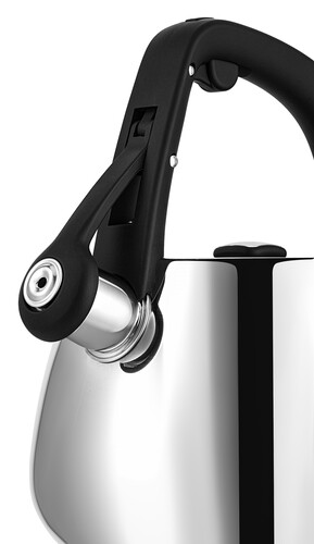 Купить Чайник для плиты Polaris Mela-2.5L серебристый  9140001. Характеристики, отзывы и цены в Донецке