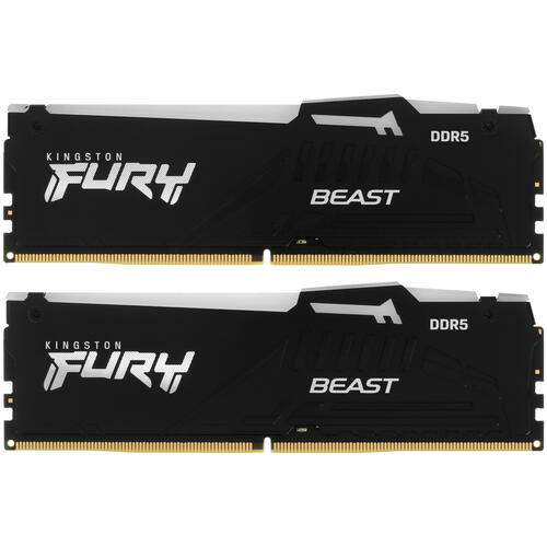 Купить Оперативная память Kingston FURY Beast Black RGB [KF560C36BBEAK2-32] 32 ГБ  5075012. Характеристики, отзывы и цены в Донецке