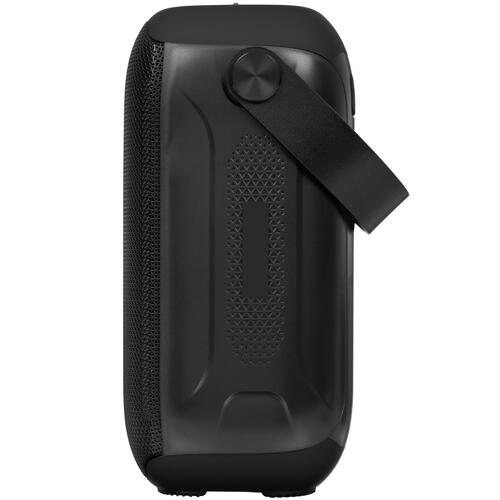 Купить Портативная колонка Fiero Future FR250, черный  5406146. Характеристики, отзывы и цены в Донецке