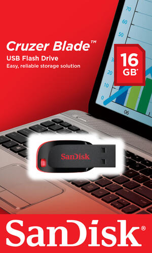 Купить Память USB Flash 16 ГБ SanDisk Cruzer Blade  0137274. Характеристики, отзывы и цены в Донецке