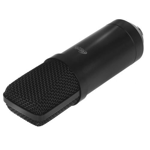 Купить Микрофон Ritmix RDM-160 черный  1358652. Характеристики, отзывы и цены в Донецке