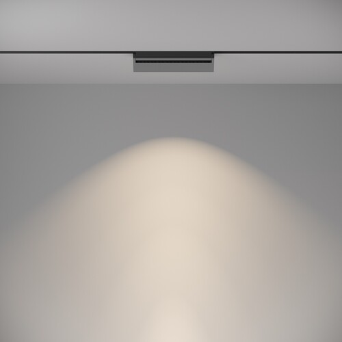 Купить Светильник трековый Maytoni TR013-2-20W4K-B  9169891. Характеристики, отзывы и цены в Донецке