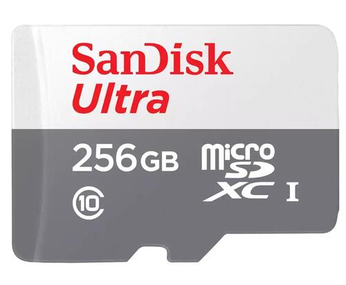 Купить Карта памяти SanDisk Ultra microSDXC 256 ГБ [SDSQUNR-256G-GN3MN]  5424554. Характеристики, отзывы и цены в Донецке