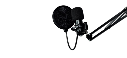 Купить Микрофонный комплект HIPER H-M024 черный  5483429. Характеристики, отзывы и цены в Донецке