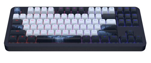 Купить Клавиатура проводная Red Square Alumix TKL Classic Serenity  5612315. Характеристики, отзывы и цены в Донецке